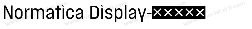 Normatica Display字体转换